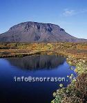 hs011532-01.jpg
haust í herðubreiðarlindum