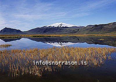 hs009492-01.jpg
Á Snæfellsnesi