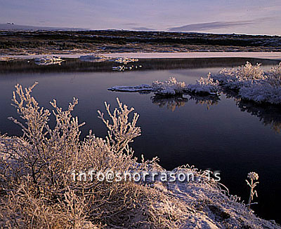 hs009423-01.jpg
Á Þingvöllum