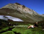 hs016345-01.jpg
Mt. Hvítserkur, Borgarfjörður eystri, east Iceland