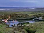 hs015766-01.jpg
heit laug á Gæsavatnaleið, hot pool in central highlands