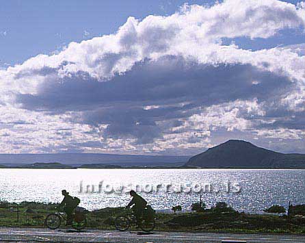 hs012595-01.jpg
Bicyclists in Mývatn, north Iceland