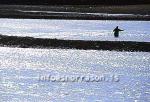 hs010596-01.jpg
The Salmon river, Grímsá, in Borgarfjördur 'W - Icleand