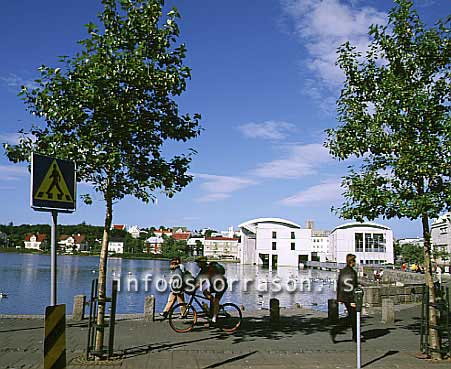 hs008636-01.jpg
The pond