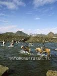 hs008307-01.jpg
Riding across Bláfjallakvísl river in south highland
