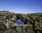 hs006132-01.jpg
Kittiwake nesting in Arnarstapi cliffs, in Snaefellsnes
west Iceland