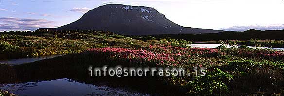 hs004501-01.jpg
The Queen of Icelandic mountains, Herdubreid.
n - Iceland