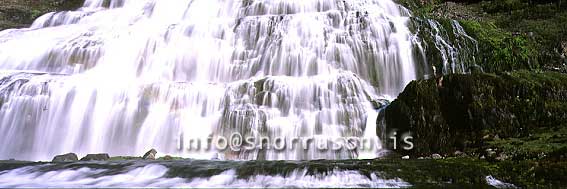 hs004466-01.jpg
the beatyful waterfall Dynjandi in Arnarfjördur in the
westfjords