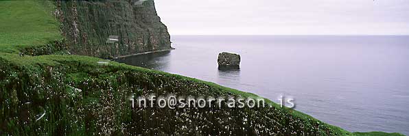 hs004453-01.jpg
great cliffs in Hornvík, west fjords