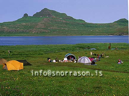 hs004376-01.jpg
Camping in Hornvik in Hornstrandir, westfjords
