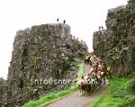 hs003661-01.jpg
Vikings walk  Almannagjá in Thingvellir