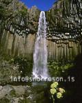 hs002935-01.jpg
Svartifoss waterfall in Skaftafell, national park