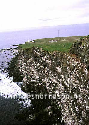 hs002781-01.jpg
Látrabjarg cliffs, westjords