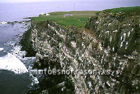 hs002780-01.jpg
The great cliff Látrabjarg, westfjords