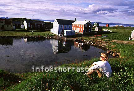 hs002746-01.jpg
from the island Flatey in Breidafjördur