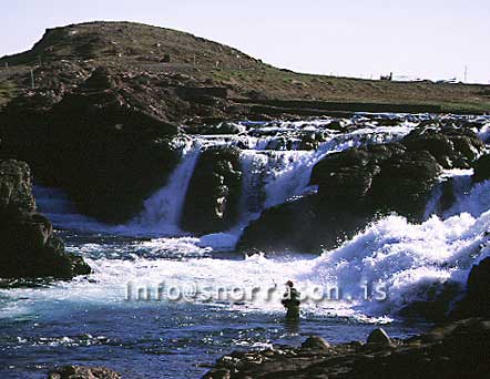 hs001180-01.jpg
salmon river in Borgarfjördur, Langá á Mýrum