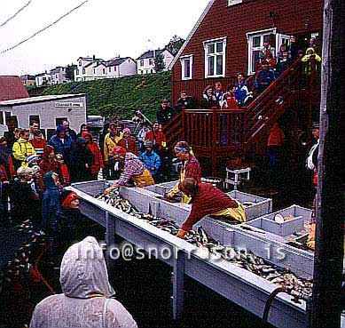 hs009599-01.jpg
Síldarævintýri á Siglufirði, from Siglufjordur, north Iceland