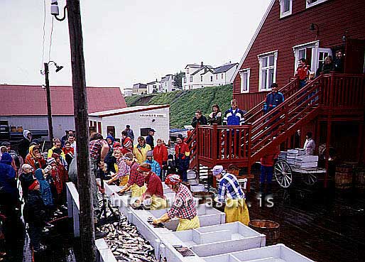 hs009597-01.jpg
Síldarævintýri á Siglufirði, from Siglufjordur, north Iceland