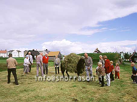 hs007061-01.jpg
Árbæjarsafn, Árbaejarsafn museum