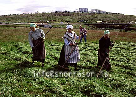 hs007054-01.jpg
Árbæjarsafn, Árbaejarsafn museum
