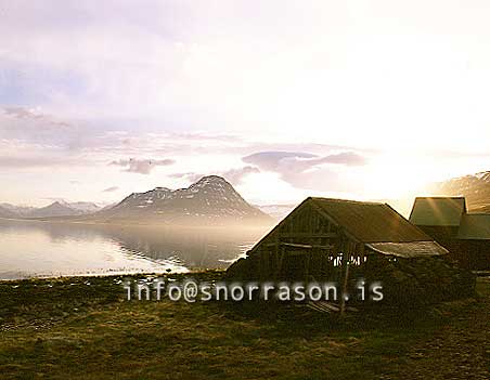 hs001051-01.jpg
fiskhjallur við Reyðarfjörð
old houses at Reydarfjordur