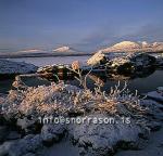 hs009496-01.jpg
Vetur vi fiingvallavatn, Botsúlur í baksn