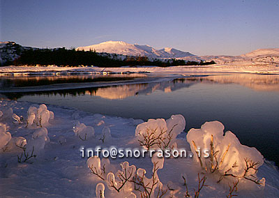 hs007192-01.jpg
frost á Þingvöllum