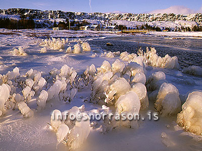 hs006321-01.jpg
Þingvellir, Valhöll
winter at Thingvellir, national Park