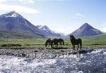 hs011951-01.jpg
Svarvaðardalur, Eyjafjörður