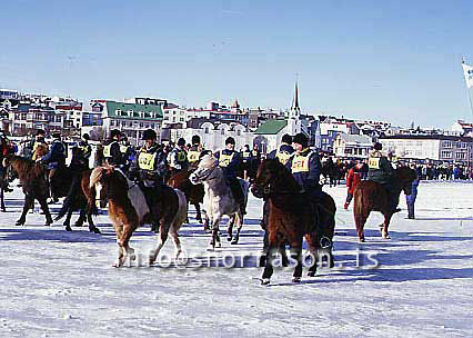 hs009716-01.jpg
tjörnin í Reykjavík