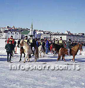 hs009678-01.jpg
Tjörnin í Reykjavík