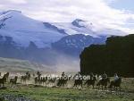 hs008772-01.jpg
Tröllagjá og Eyjafjallajökull