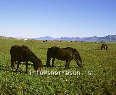 hs000852-01.jpg
Skagafjörður