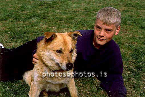 hs013120-01.jpg
drengur, strákur, barn, child, young boy, hundur, dog