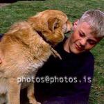 hs013119-01.jpg
strákur, unglingur, hundur, gæludýr, teenager, dog, pet