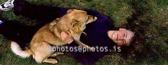 hs013118-01.jpg
strákur, unglingur, hundur, gæludýr, teenager, dog, pet