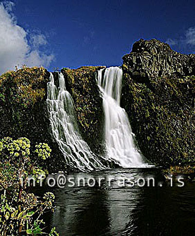 hs001544-01.jpg
Gjáin, Þjórsárdalur, pure water