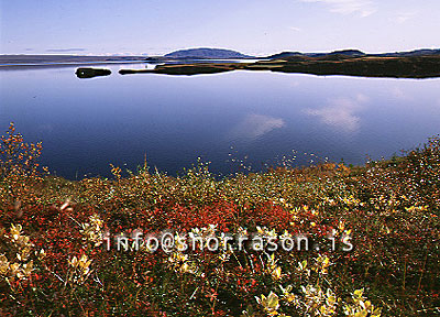 ss003366-01.jpg
Þingvallavatn