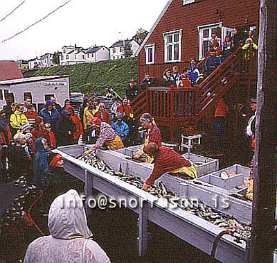 hs009599-01.jpg
Siglufjörður, museum, Siglufjordur