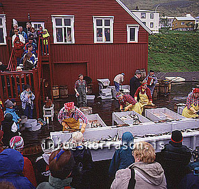 hs009598-01.jpg
Siglufjörður, síldarævintýri, Siglufjordur