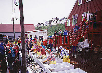 hs009597-01.jpg
Siglufjörður, museum, Siglufjordur