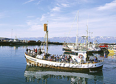 hs008881-01.jpg
Hvalaskoðunarbátar, Husavik