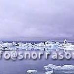 hs008140-01.jpg
Jökulsárlónið, The Glacier lagoon