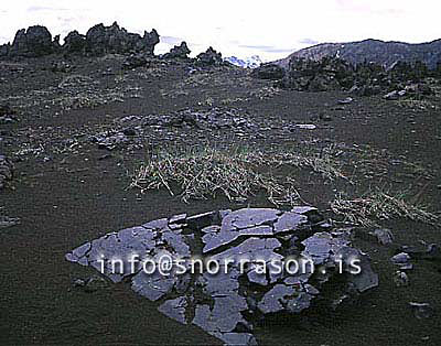 hs012033-01-01.jpg
Námshraun lava near Landmannalaugar
south highland