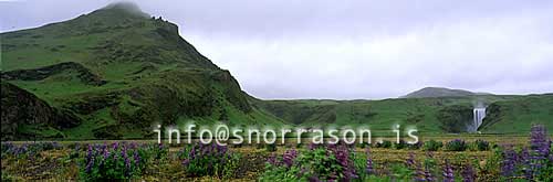 hs006936-01.jpg
Skógar
from Skógar s - Iceland