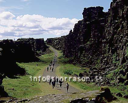 hs011192-01.jpg
Almannagjá, Þingvellir