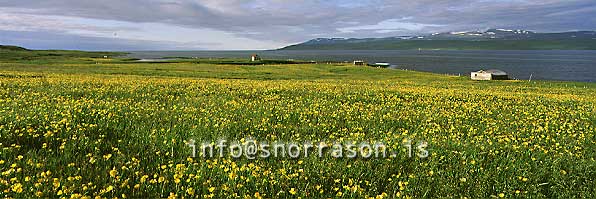 hs006913-01.jpg
Hrútafjörður