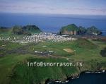 hs005462-01.jpg
Vestmannaeyjar úr lofti