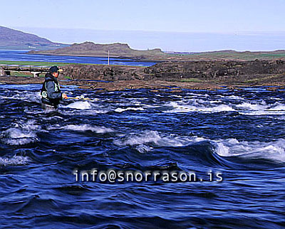 hs007735jpg-.jpg
Laxá í kjós, laxveiði