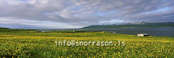 hs006912-01.jpg
Hrútafjörður panorama